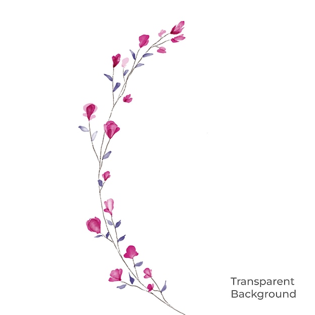 Ilustração de fundo transparente em aquarela de flores criado com procreate