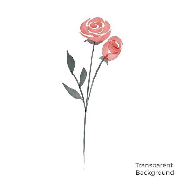 PSD ilustração de fundo transparente em aquarela de flores criado com procreate