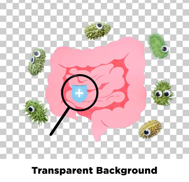 PSD ilustração de intestinos com escudo protetor e bactérias