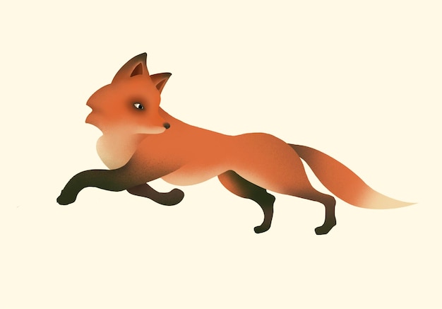 ilustração de raposa vermelha