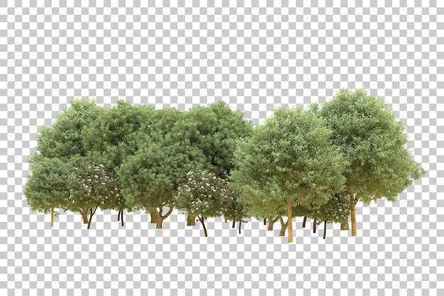 Ilustração de renderização 3D de floresta realista isolada em fundo transparente