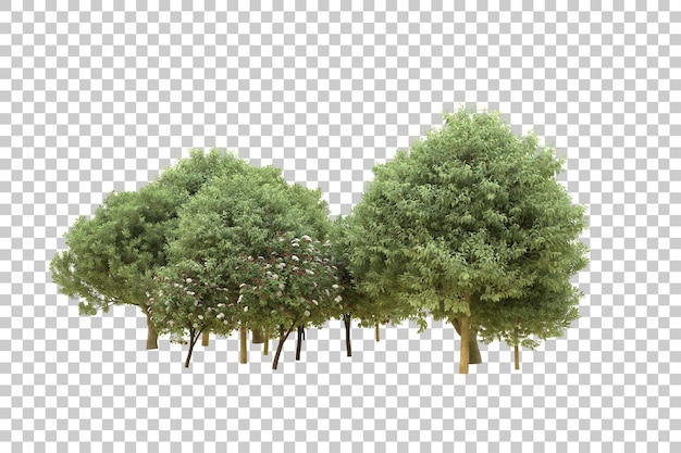 Ilustração de renderização 3D de floresta realista isolada em fundo transparente