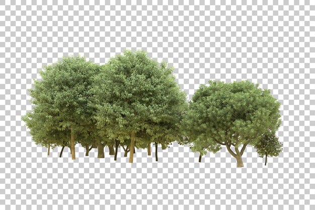 Ilustração de renderização 3D de floresta realista isolada em fundo transparente