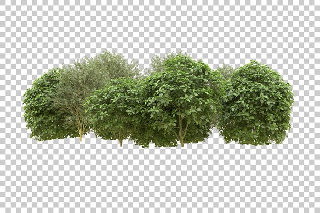 PSD ilustração de renderização 3d de floresta realista isolada em fundo transparente