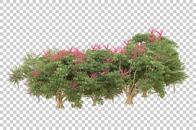 PSD ilustração de renderização 3d de floresta realista isolada em fundo transparente