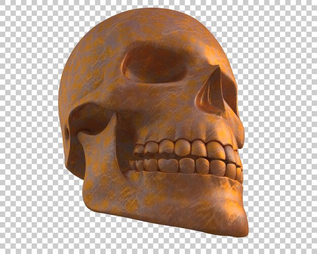 Ilustração de renderização 3D do crânio isolado no fundo