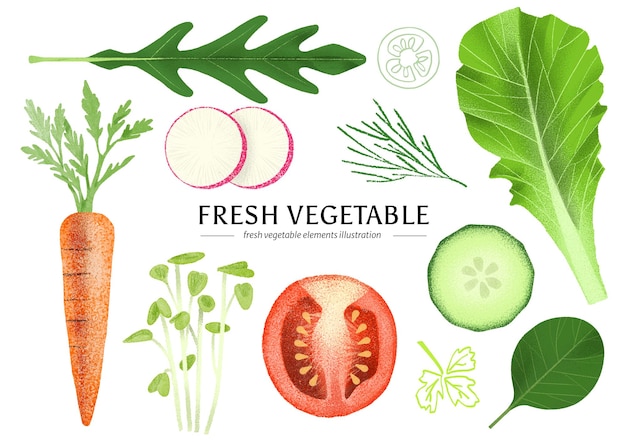 Ilustração de Vegetais Frescos