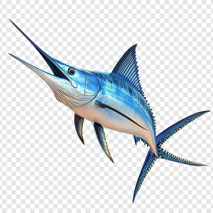 PSD ilustração do peixe marlin azul