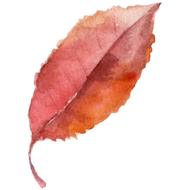 Ilustração em aquarela abstrata de folhas de outono elementos de design de natureza desenhados à mão isolados no fundo branco