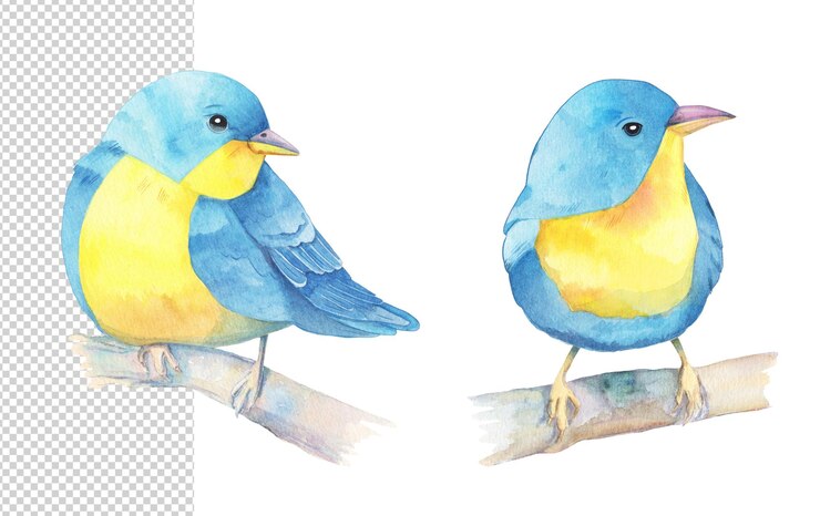 PSD ilustração em aquarela de dois pássaros em cores azuis e amarelas isoladas em fundo branco