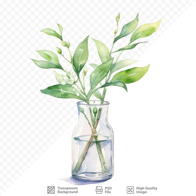 PSD ilustração em aquarela de vidas frescas em um vaso isolado em fundo transparente