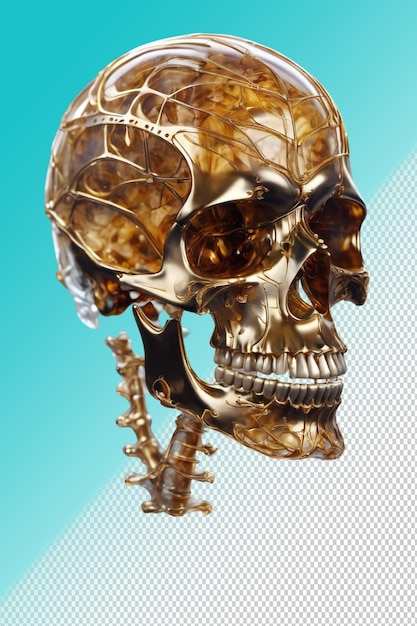 PSD ilustração psd 3d crânio isolado em fundo transparente