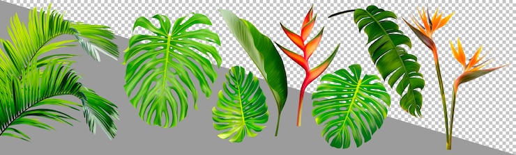PSD ilustração tropical de folhas e flores