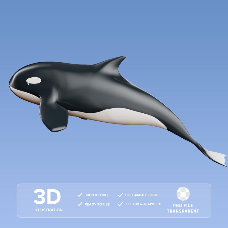 PSD ilustración 3d de la ballena orca en psd
