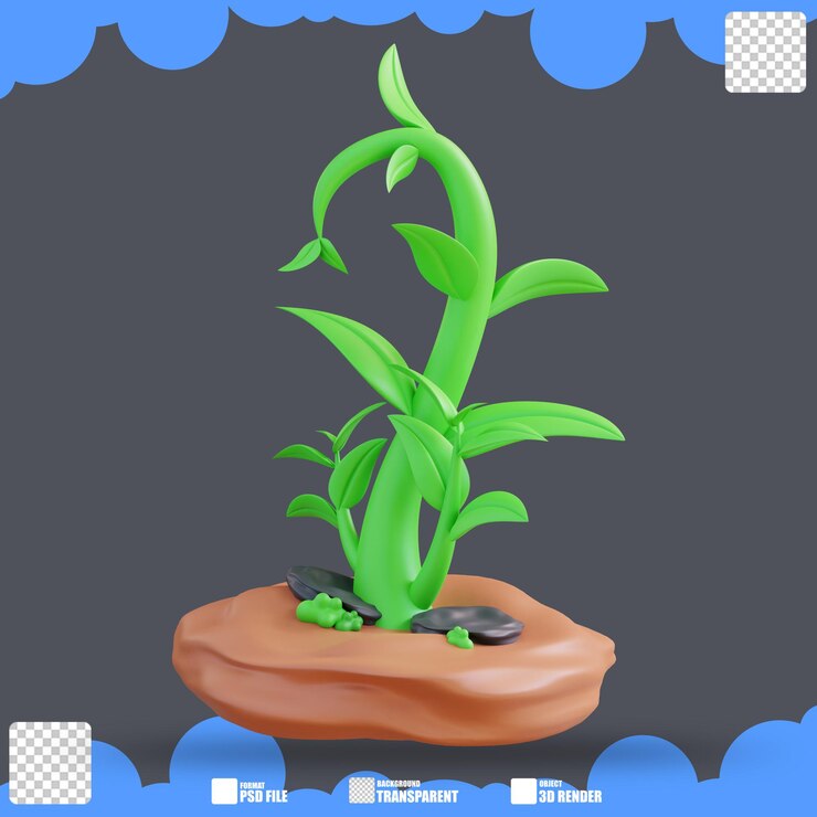 PSD ilustración 3d del crecimiento de las plantas 4