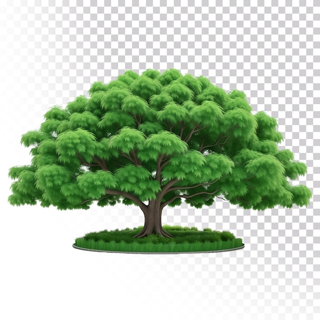 PSD ilustración 3d de un gran árbol verde aislado en un fondo transparente