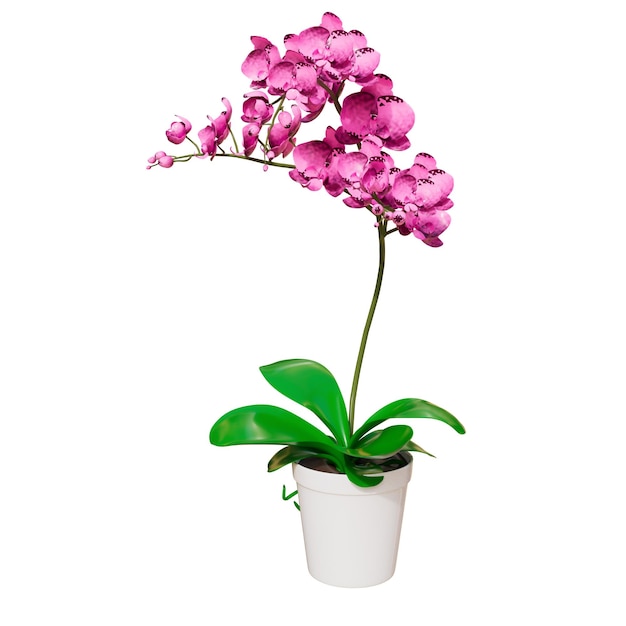 Ilustración 3D de plantas de interior