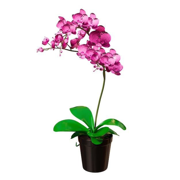 Ilustración 3D de plantas de interior