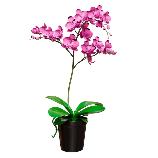 Ilustración 3D de plantas de interior