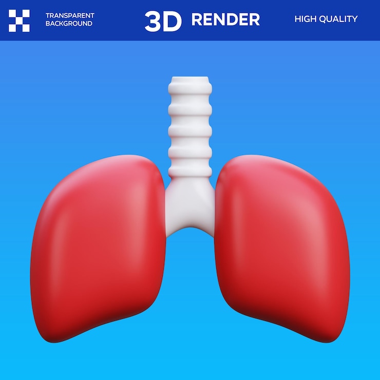 PSD ilustración 3d de los pulmones de psd