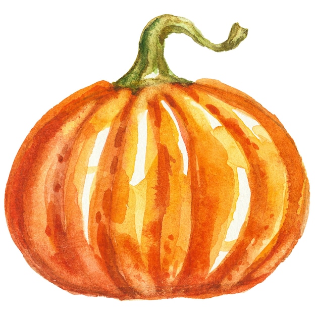 Ilustración acuarela abstracta de calabaza de otoño Elementos de diseño de naturaleza dibujados a mano aislados sobre fondo blanco