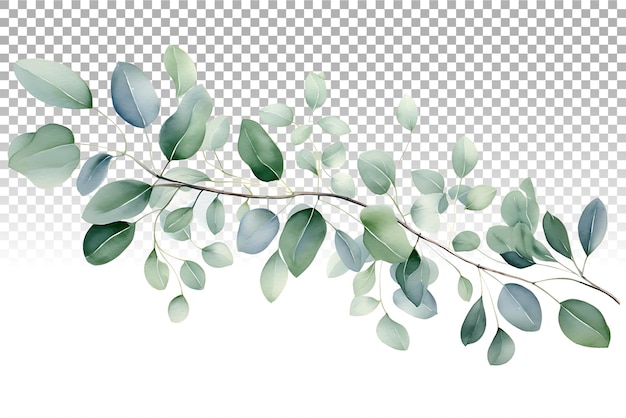 PSD ilustración de acuarela de bordado de hojas de eucalipto para invitaciones de boda y diseño de papelería