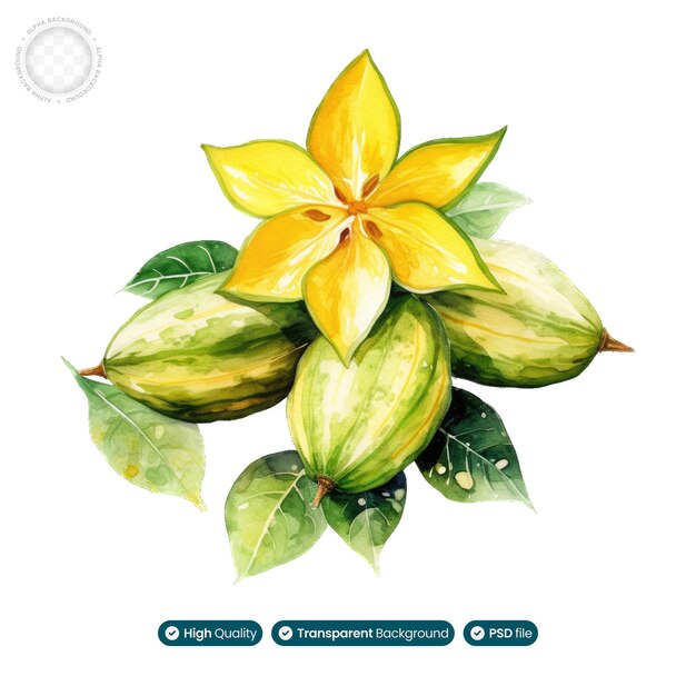 PSD ilustración acuarela de hojas de espinaca, símbolo de frescura y vitalidad