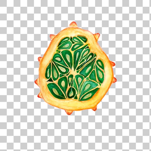 Ilustración en acuarela del melón de Kiwano