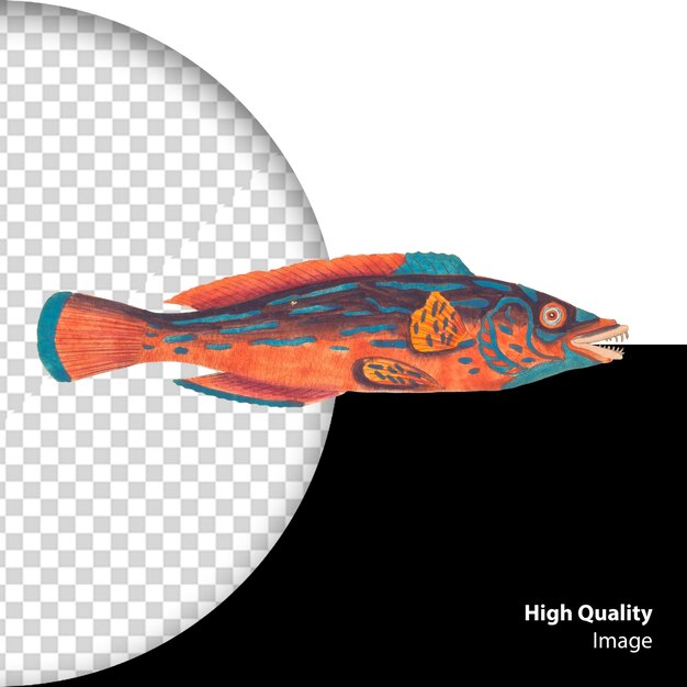 Ilustración de acuarela de peces psd aislada en un fondo transparente