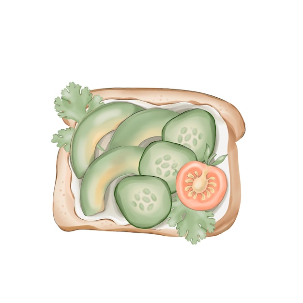 Ilustración en acuarela de tostadas de aguacate con pepino y tomate