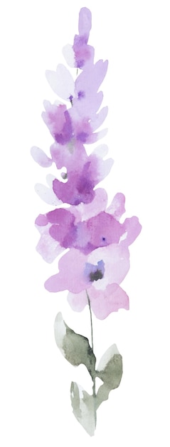 Ilustración aislada de flores silvestres de color púrpura claro en acuarela Ilustración de bodas aisladas florales