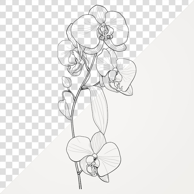 PSD ilustración artística de las flores de las orquídeas de papua nueva guinea