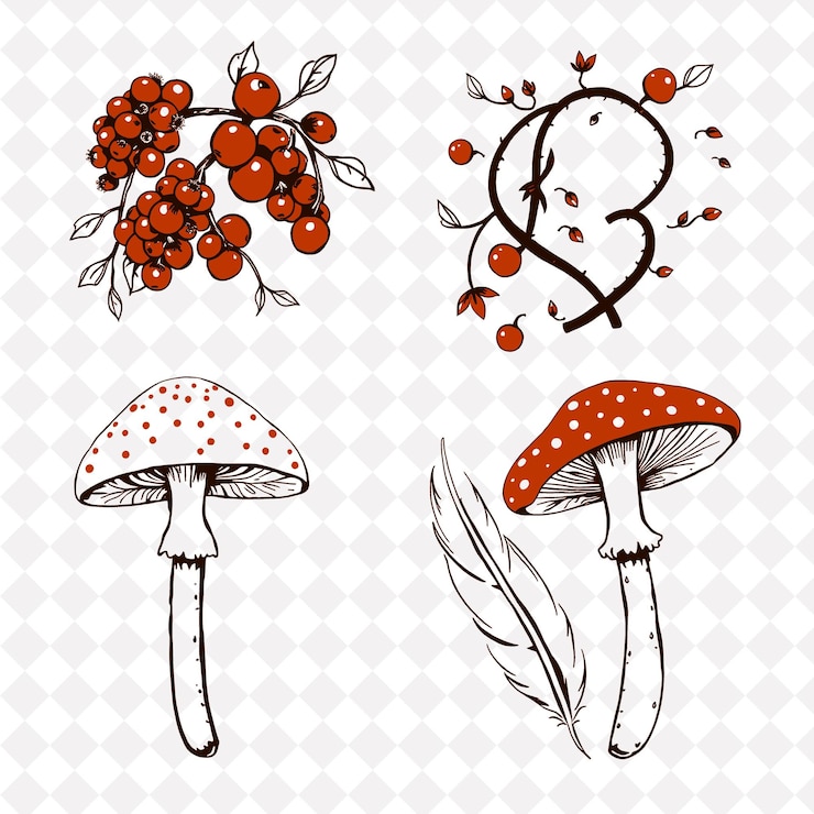 PSD ilustración berries vines toadstools feathers berries agrupadas en delicados racimos twisting vine