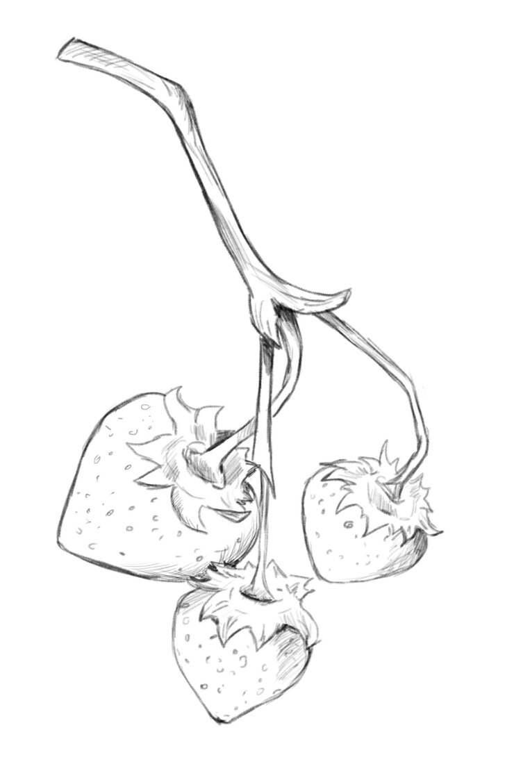 PSD ilustración en blanco y negro de fresa en una rama sketch clip art para tela impresa