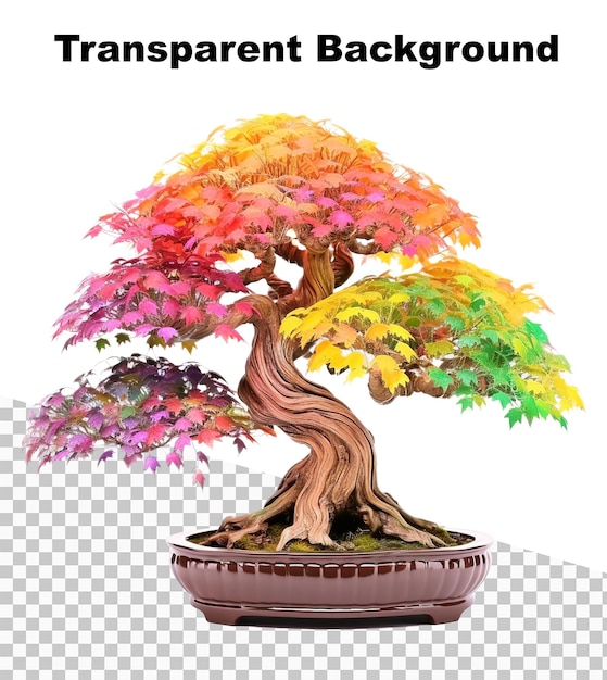 Una ilustración de un bonsai con muchas hojas de colores en un fondo transparente
