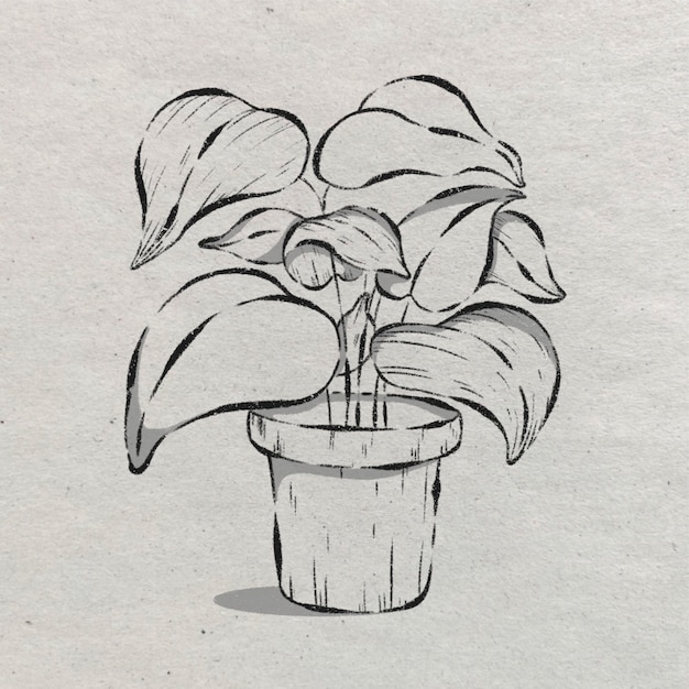 Ilustración botánica con una planta en una olla en estilo boceto