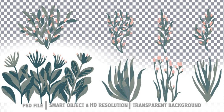 PSD ilustración botánica de plantas verdes y flores