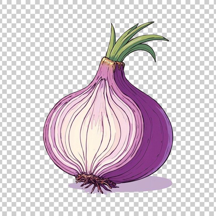 PSD ilustración de bulbo de cebolla púrpura en un fondo transparente