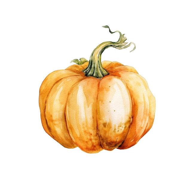 Ilustración de calabaza de acuarela Elemento de diseño de alimentos frescos dibujado a mano aislado sobre un fondo blanco