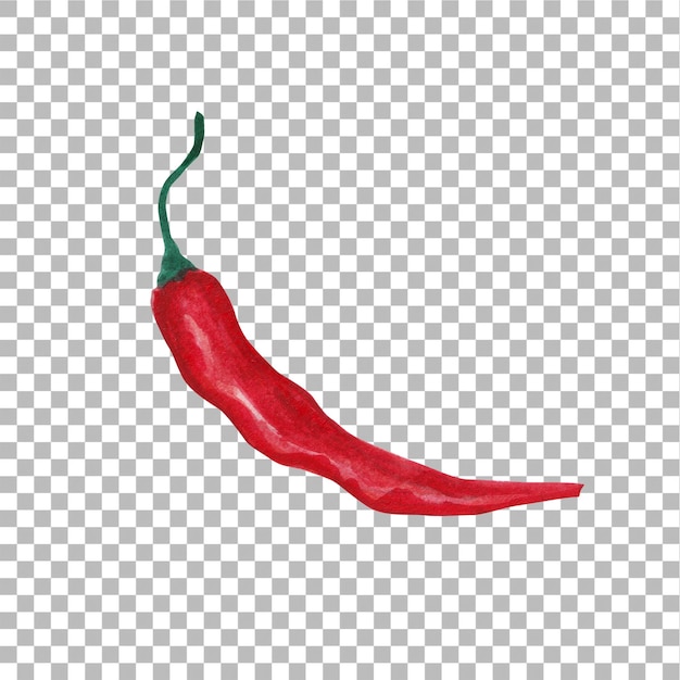 Ilustración conceptual de estilo de color de agua dibujado a mano de chile adecuado para su proyecto de elementos
