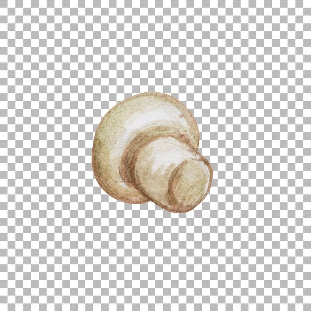 Ilustración conceptual del estilo de color de agua de dibujo a mano de champignon adecuado para su proyecto de elementos