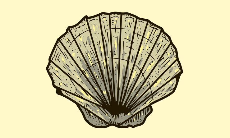 PSD ilustración de la concha de concha de mar