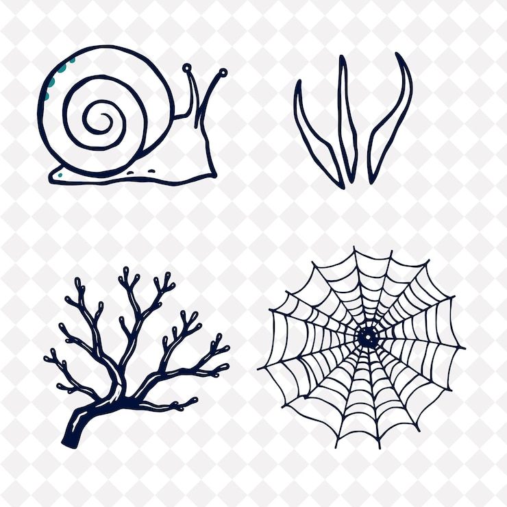 PSD ilustración las conchas de caracol los cascos de ciervo las ramas de coral las telas de araña