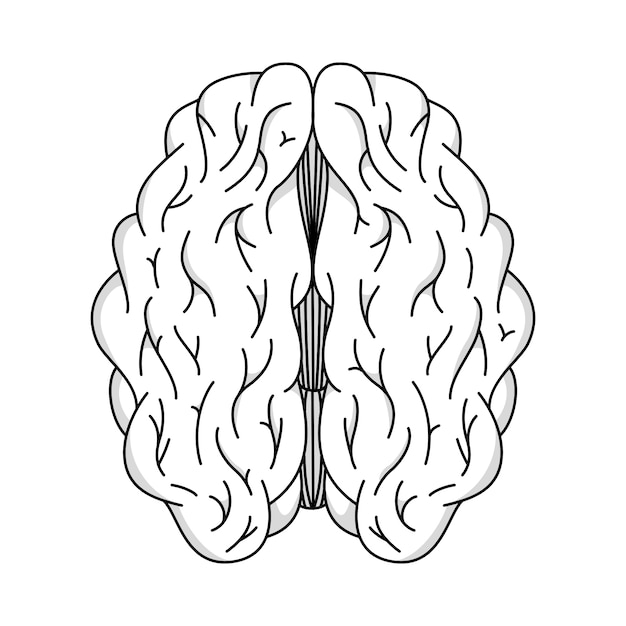 PSD ilustración del contorno del cerebro