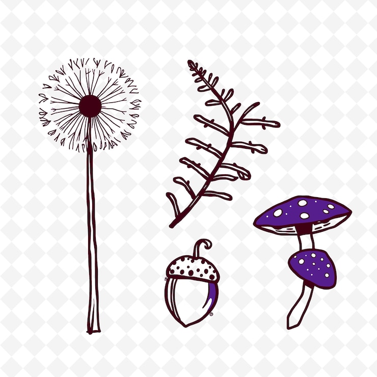 PSD ilustración de dandelion fern acorn mushroom fluffy dandelion puff con conjunto de colores creativos de la naturaleza