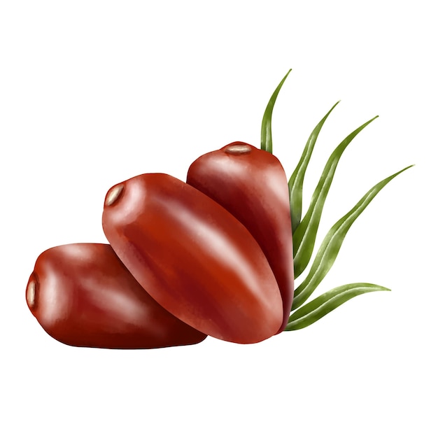 Ilustración de dátiles rojos gordos con hojas verdes ideales para bocadillos saludables o usos culinarios