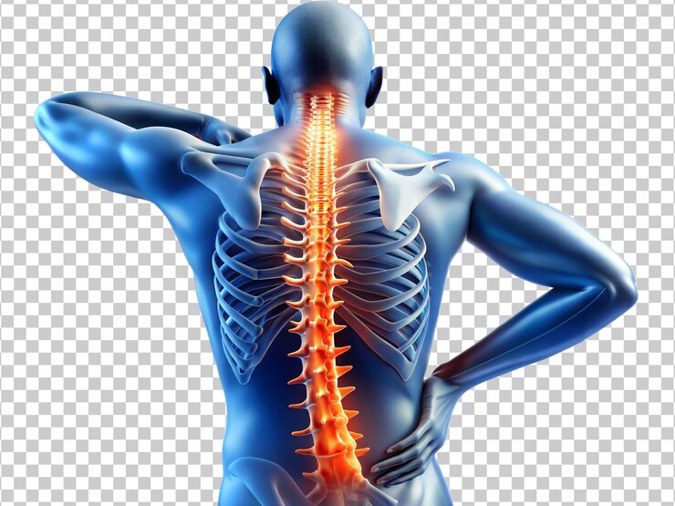 PSD ilustración detallada de la columna vertebral y la postura humana