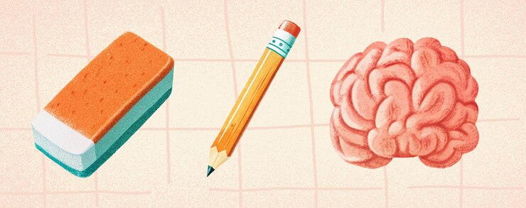 Una ilustración dibujada a mano del cerebro con lápiz de borrar