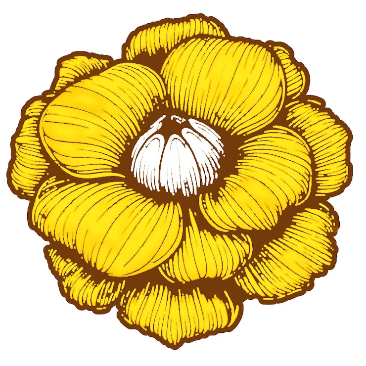 PSD ilustración de las flores amarillas