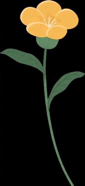 Ilustración de las flores amarillas
